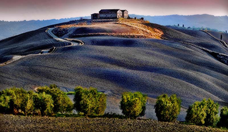 Senese Landscape