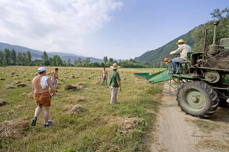 Una calda e festosa domenica di Luglio 2010