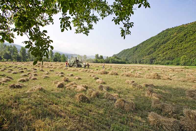 Una calda e festosa domenica di Luglio 2010