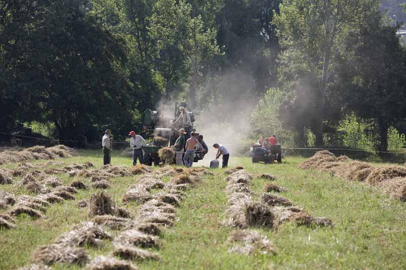 Una calda e festosa domenica di Luglio 2010