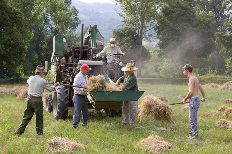 Una calda e festosa domenica di Luglio 2010