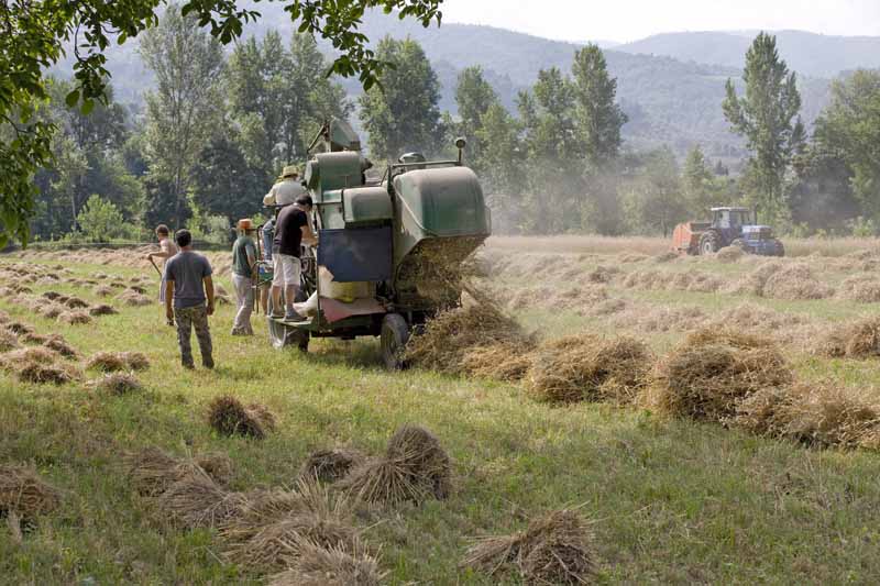 Una calda e festosa domenica di Luglio 2010