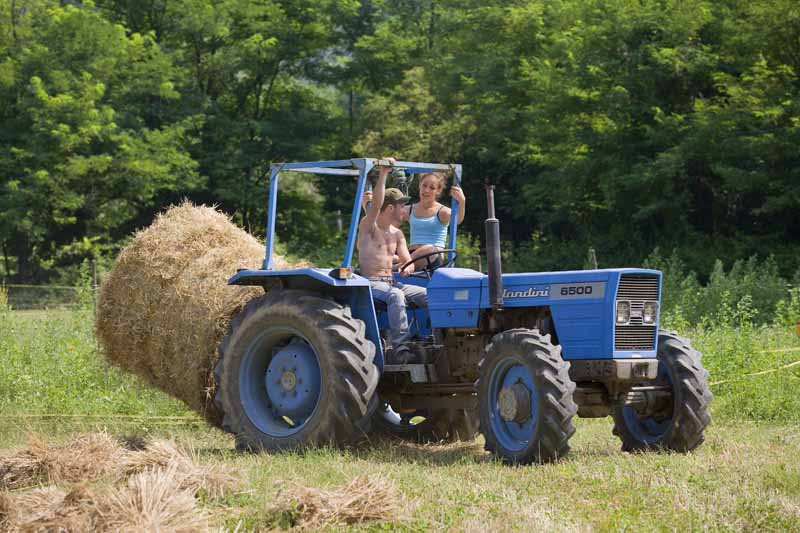 Una calda e festosa domenica di Luglio 2010