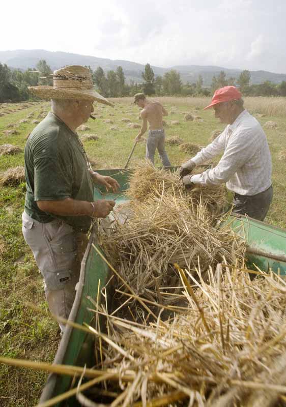 Una calda e festosa domenica di Luglio 2010