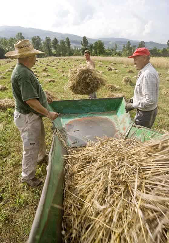 Una calda e festosa domenica di Luglio 2010