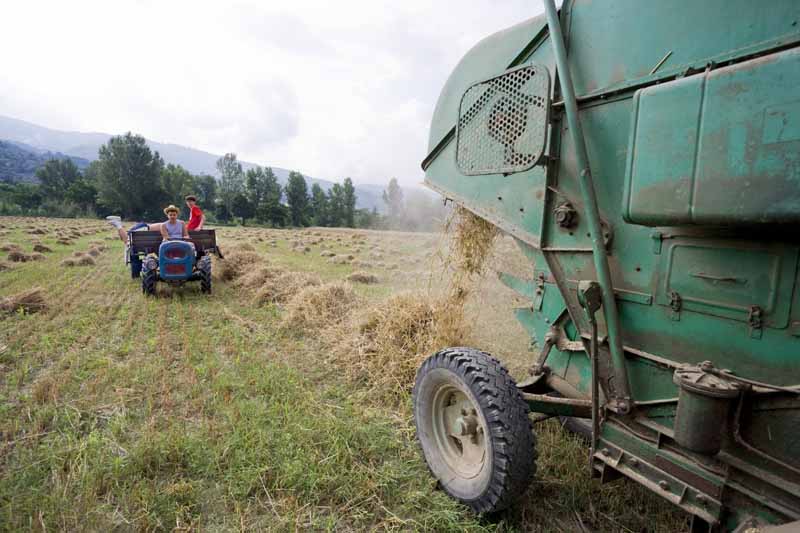 Una calda e festosa domenica di Luglio 2010