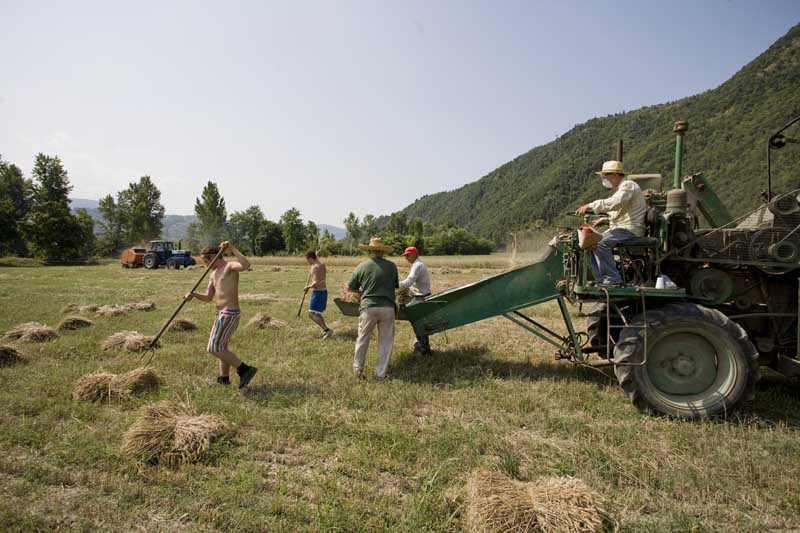 Una calda e festosa domenica di Luglio 2010