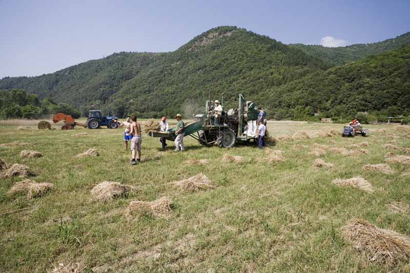 Una calda e festosa domenica di Luglio 2010