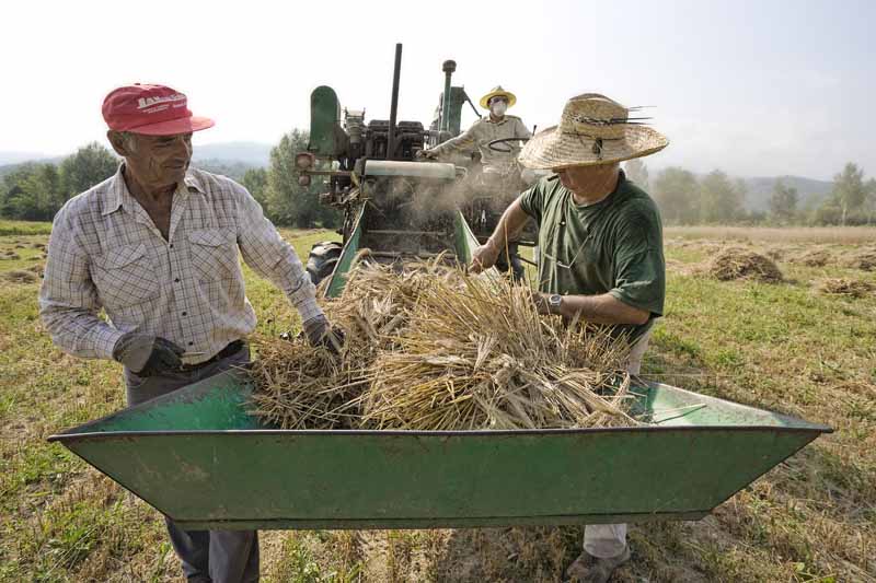 Una calda e festosa domenica di Luglio 2010