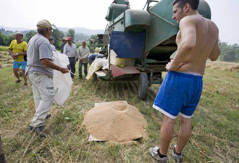 Una calda e festosa domenica di Luglio 2010