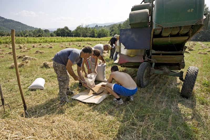 Una calda e festosa domenica di Luglio 2010