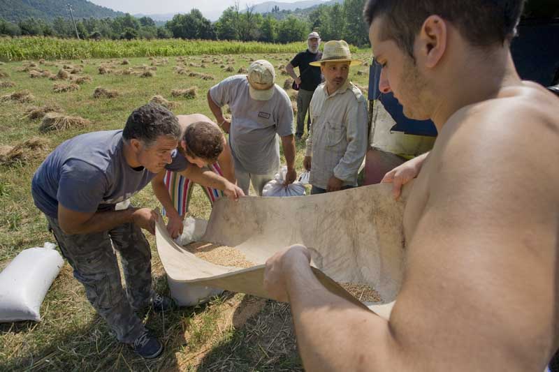 Una calda e festosa domenica di Luglio 2010