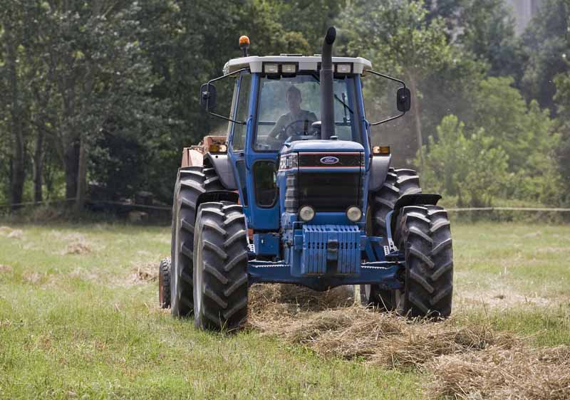 Una calda e festosa domenica di Luglio 2010