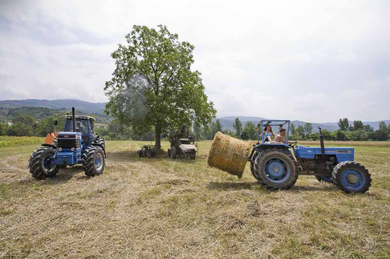 Una calda e festosa domenica di Luglio 2010