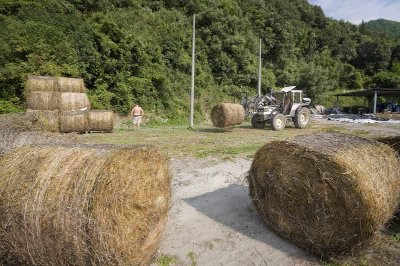 Una calda e festosa domenica di Luglio 2010