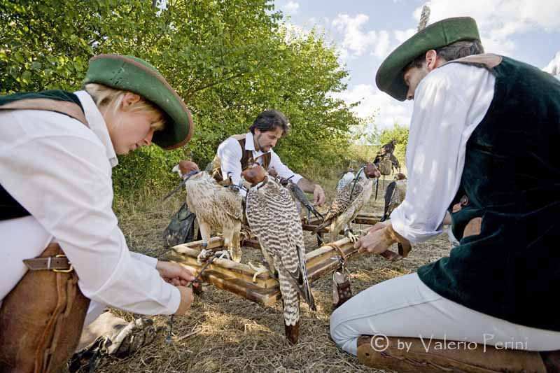 Cavalli e l'Arte della Falconeria a Monteriggioni