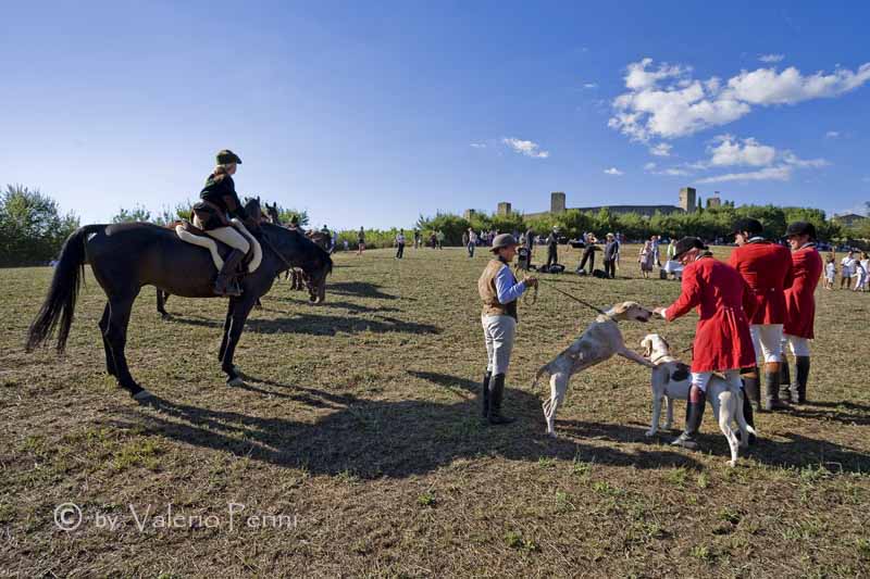 Cavalli e l'Arte della Falconeria a Monteriggioni