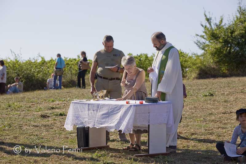 Cavalli e l'Arte della Falconeria a Monteriggioni