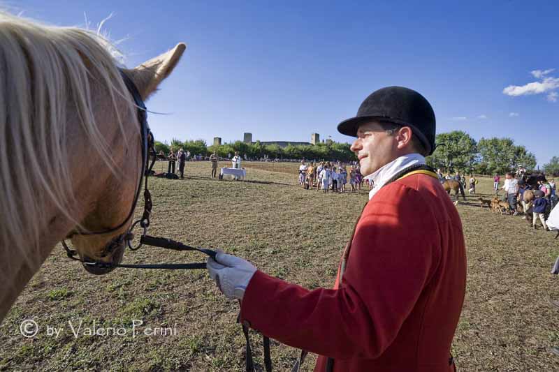 Cavalli e l'Arte della Falconeria a Monteriggioni