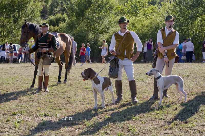 Cavalli e l'Arte della Falconeria a Monteriggioni