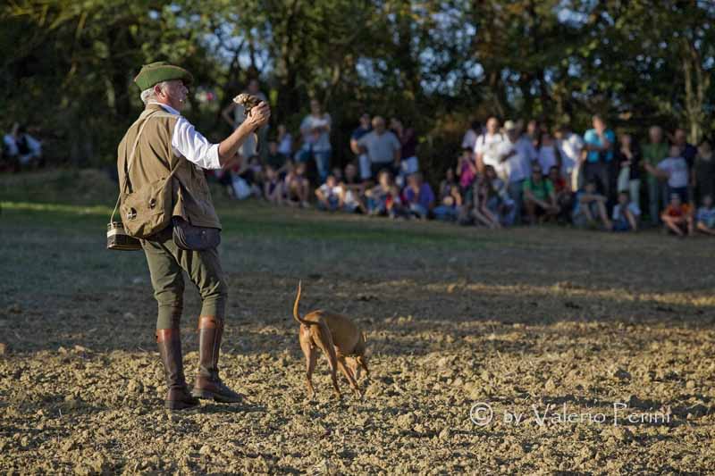 Cavalli e l'Arte della Falconeria a Monteriggioni