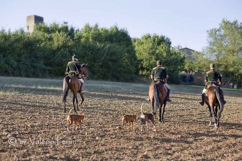 Cavalli e l'Arte della Falconeria a Monteriggioni