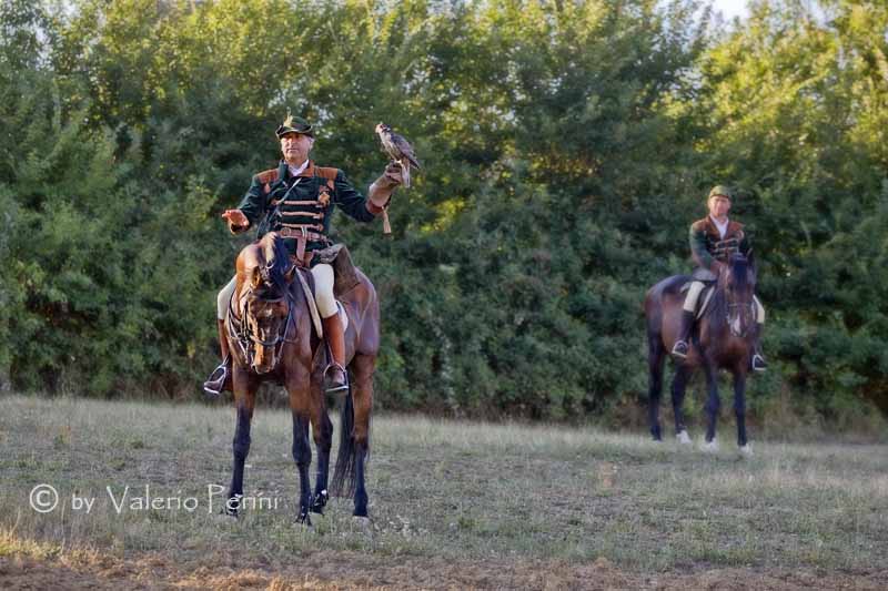 Cavalli e l'Arte della Falconeria a Monteriggioni