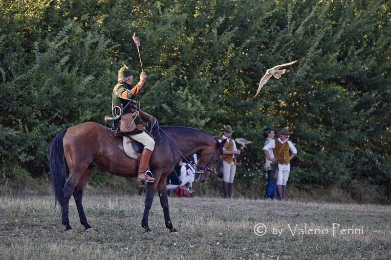 Cavalli e l'Arte della Falconeria a Monteriggioni