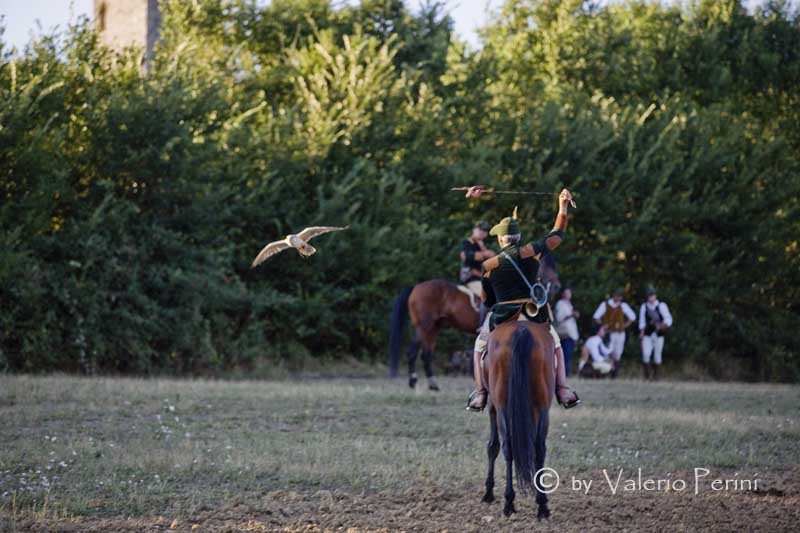 Cavalli e l'Arte della Falconeria a Monteriggioni