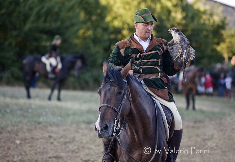 Cavalli e l'Arte della Falconeria a Monteriggioni