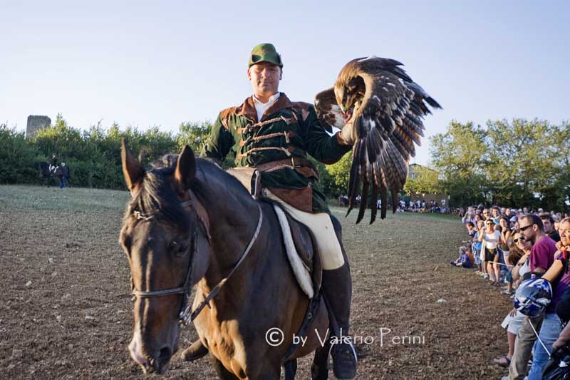 Cavalli e l'Arte della Falconeria a Monteriggioni