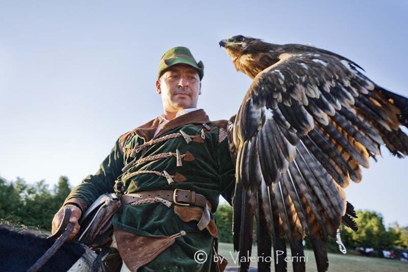 Cavalli e l'Arte della Falconeria a Monteriggioni